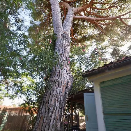 度假居 L'arancio 坎普码港